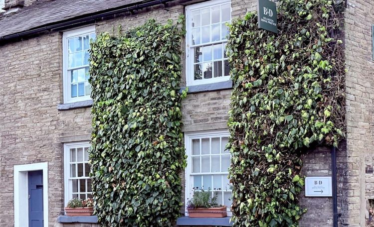 Blog - Bollington Dental Practice